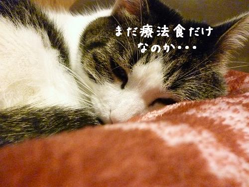 まだ・・・
