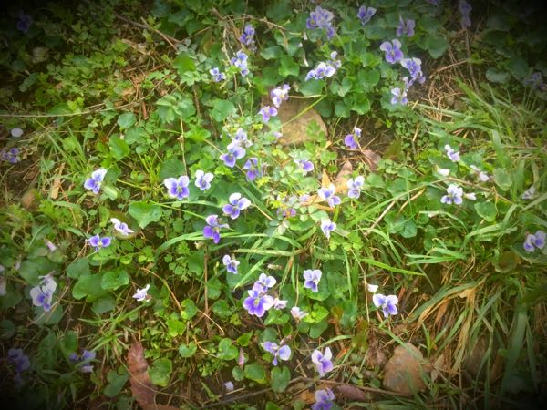 rblog-20160406131936-07.jpg
