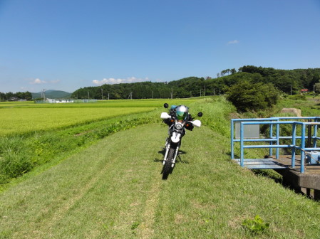 畦道