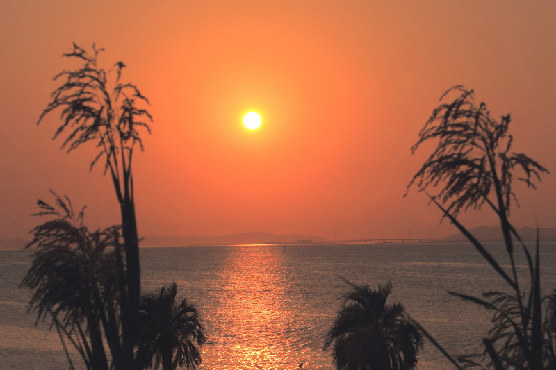 舞洲の夕日_02.JPG
