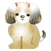 犬