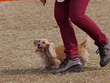 20121104132033[1].jpg