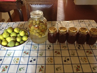 t figs liquor jam.jpg