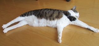 IMG_3303ss.jpg