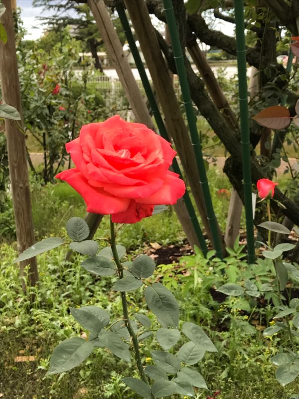 rblog-20170921074755-03.jpg