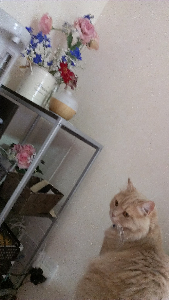 rblog-20130412140326-02.png