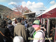 PB230264(15%).jpg