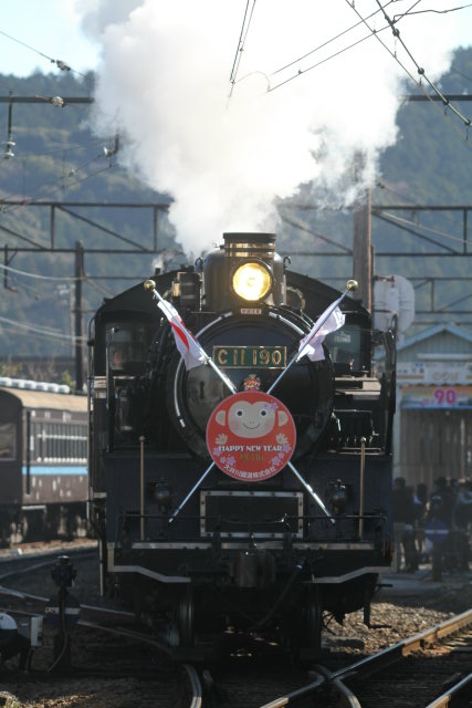 2016年元旦 新春大井川 C11 190門デフ2