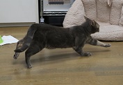 5DA_6643-15.jpg