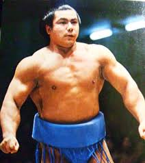 実は低い 力士の体脂肪 阿加井秀樹が伝える相撲の魅力 楽天ブログ