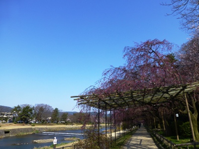 P1010458.JPG