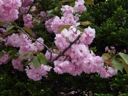DSCN2691.JPG