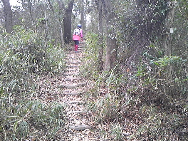 130113_120655.jpg