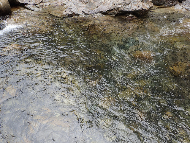 resize0011.jpg