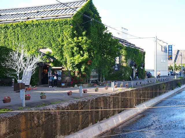 P6251263.JPG