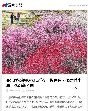 佐世保 俵ヶ浦半島 花の森公園 梅の花見ごろ みやひょんの青春真っ盛り 楽天ブログ