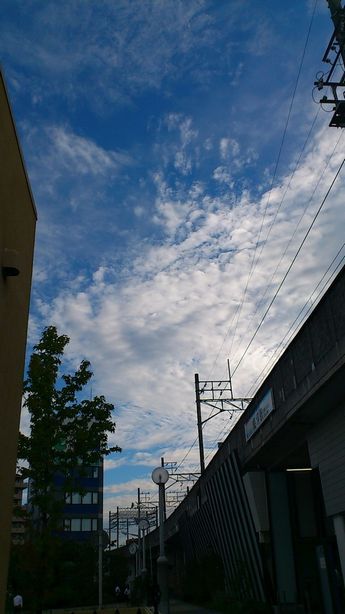このブルーの空、大すき
