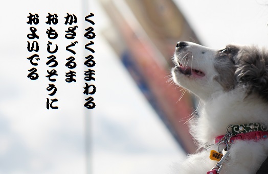 およいでる