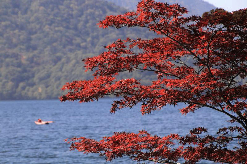 中禅寺湖_006紅葉.jpg
