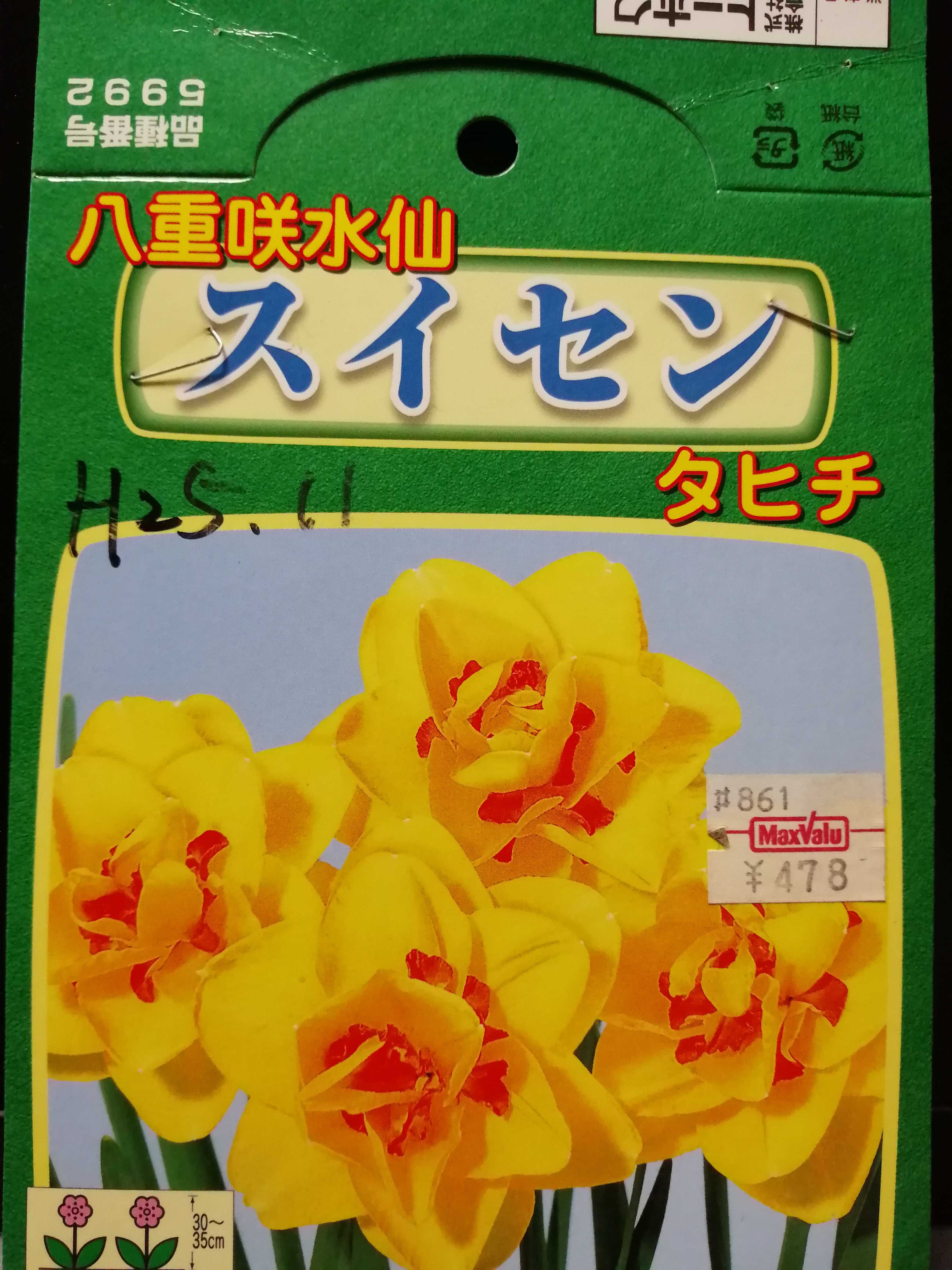 八重咲水仙 タヒチ ルナママの気まま日記 楽天ブログ