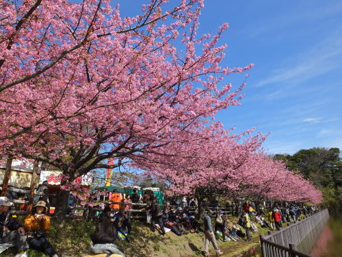 小松ヶ池公園