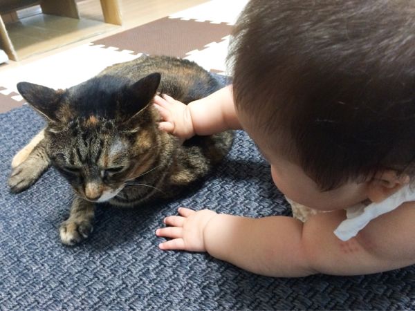 rblog-20140630195311-01.jpg