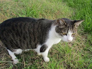 IMG_2577ss.jpg