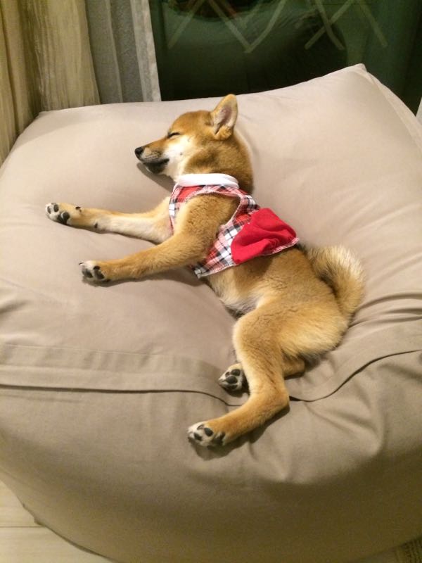 rblog-20150727214145-04.jpg