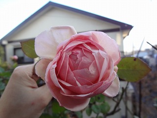 DSC06122.jpg