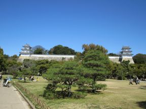 たつく