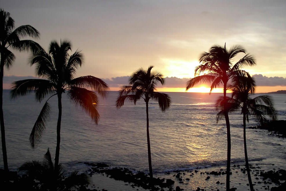Hawaiiのこといろいろ わたしのブログへようこそ 楽天ブログ