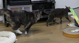 5DA_2347-3.jpg