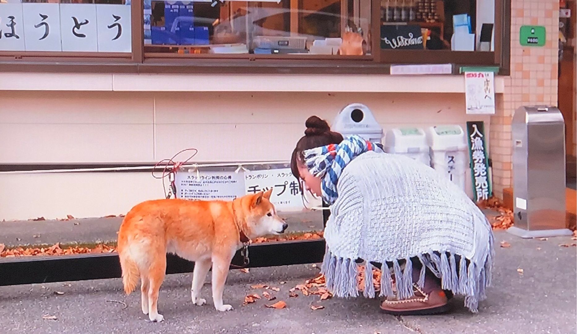 本日の100均 ナギの豆皿 犬と旦那とiga ニャン 楽天ブログ