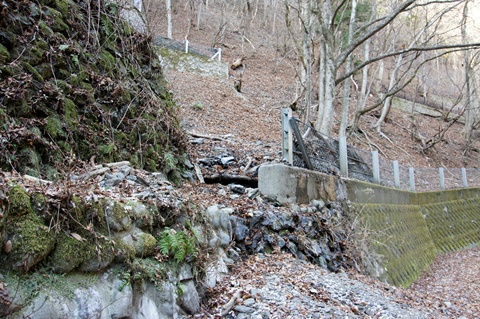 _DSC1987.JPG