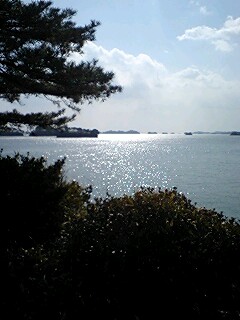 松島.jpg