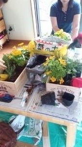 DSC_0510 (169x300) (2).jpg