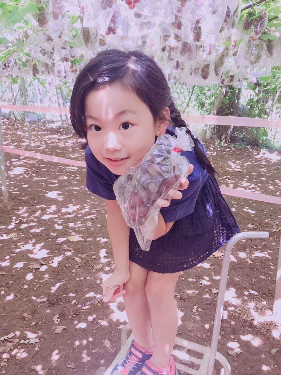 rblog-20180821013425-04.jpg
