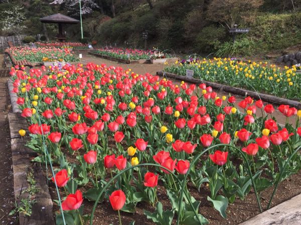 rblog-20170413205842-02.jpg