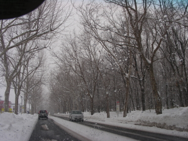 2016-01-02street1.JPG