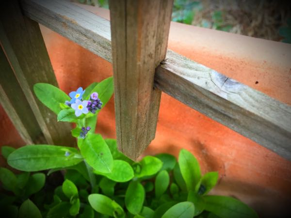 rblog-20160330184331-09.jpg