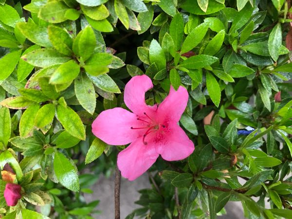 rblog-20180430174801-00.jpg