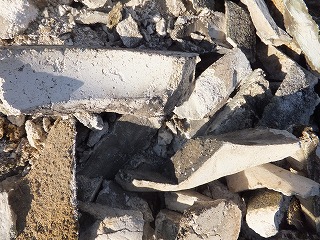 DSCF1353.jpg
