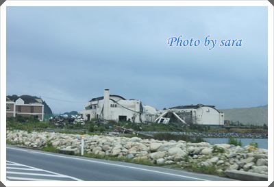 IMG_5274log.JPG