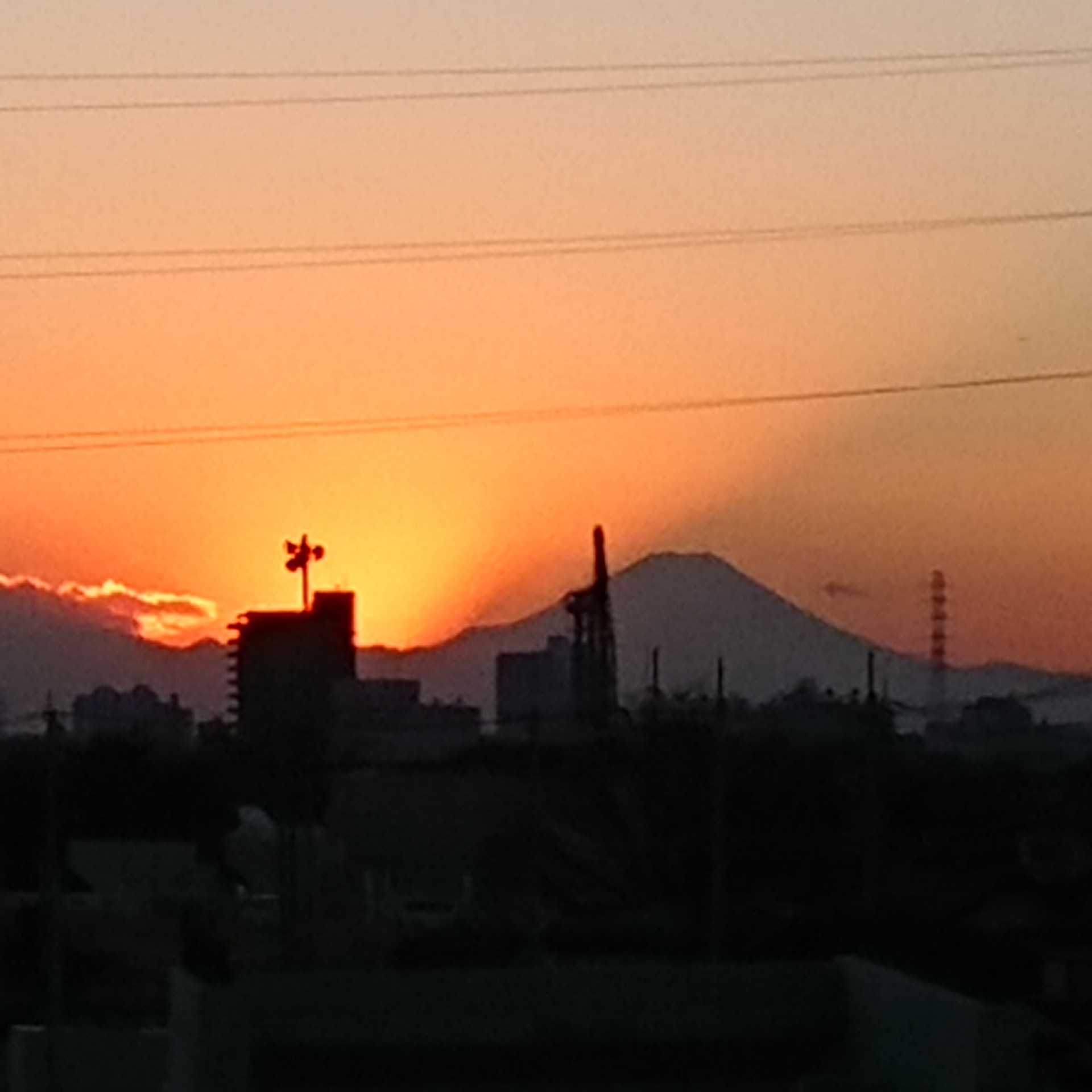 その他 飲 食 遊 プリザ Hana 花 ガーデン 楽天ブログ