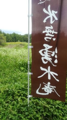rblog-20180924065548-07.jpg