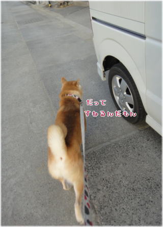 0101トム1.jpg