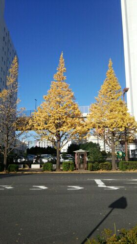 rblog-20151211151153-01.jpg