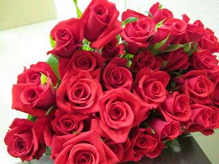 IMG_5667_R.JPG