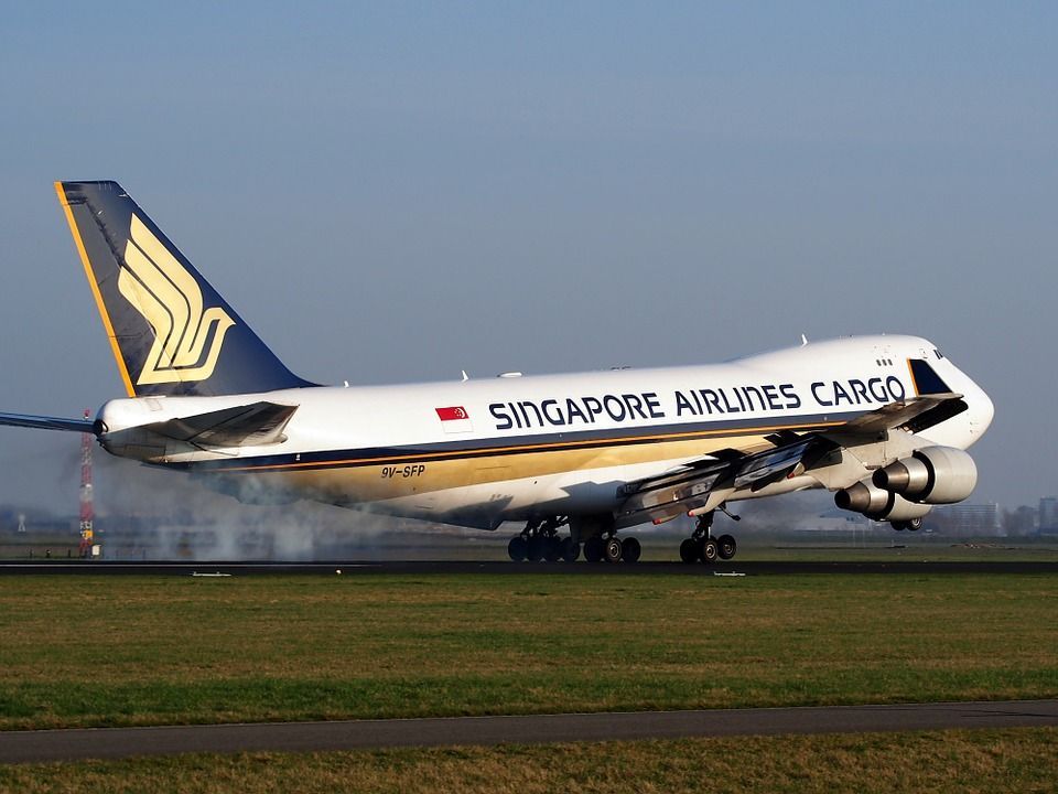 デルタ航空エアライン満足度調査2019年15位にランクアップ ラスベガス ロサンゼルスの旅 楽天ブログ