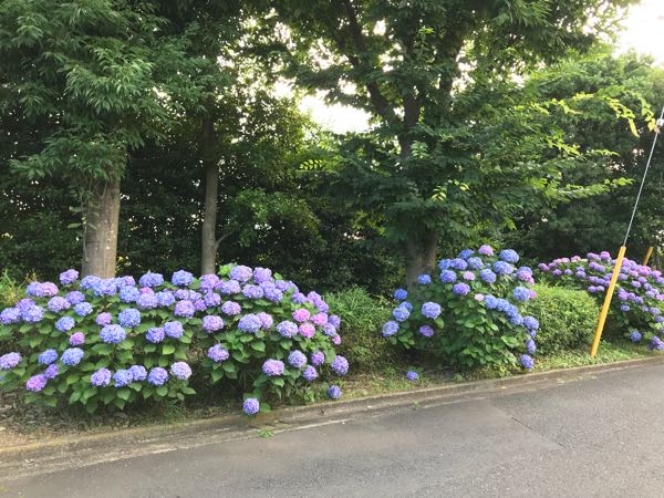 rblog-20180624181756-02.jpg